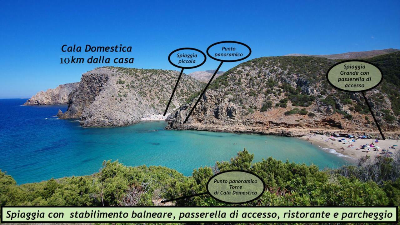 NebidaIl Dolce Risveglio Tanca Piras别墅 外观 照片